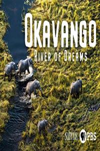 Nature.S38E04.Okavango.Paradise.1080p.WEB.H264-GOANZALOO.mp4