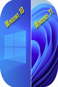 Windows 10 & Windows 11 AIO 32in1 (x64) En-US Pre-Activated December 2024 [FTUApps]