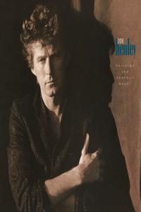 Don Henley - Building The Perfect Beast (Remastered 2024) (1984 Rock) [Flac 24-192]