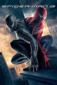 Spider-Man 3 2007 WEB-DL 1080p | 720p | 480p Dual Audio ( Hindi + English ) x264 AAC