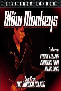 The Blow Monkeys - Live From London (2016 Pop Rock) [Flac 16-44]