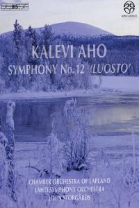 Aho - Symphony No. 12 'Luosto' - Lahti Symphony Orchestra, John Storgards (2008) [24-44]