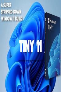 Tiny11 v2023.11 (Windows 11 Lite) Pre-Activated - [haxNode]