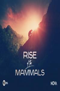 Rise of the Mammals (2019) [1080p][WEB-DL][x264][AAC][Goanzaloo]