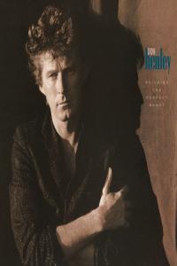 Don Henley - Building The Perfect Beast (Remastered 2024) (2024) [24Bit-192kHz] FLAC [PMEDIA] ⭐️