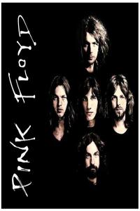 PINK FLOYD - DISCOGRAPHY (33 ALBUMS, 256 ISSUES, 231 CD) (LOSSLESS, 1967-2016)- WEB FLAC 16BIT   44.1khz EICHBAUM