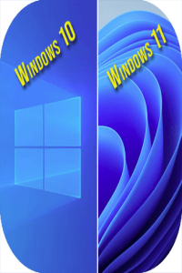 Windows 10 & Windows 11 AIO 32in1 (x64) En-US Pre-Activated January 2025 [FTUApps]