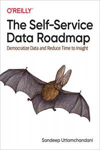 The Self-Service Data Roadmap - (BookRAR)