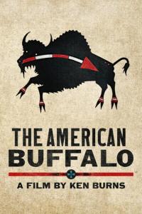 The.American.Buffalo.S01.COMPLETE.1080p.WEBRip.x264-BAE[TGx]