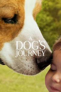A.Dogs.Journey.2019.1080p.BluRay.1400MB.DD5.1.x264-GalaxyRG