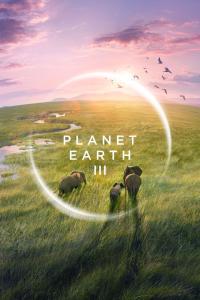 Planet.Earth.III.S01E05.2160p.iP.WEB-DL.AAC2.0.HEVC-NTb[TGx]