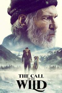The.Call.of.the.Wild.2020.720p.WEBRip.800MB.x264-GalaxyRG