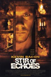 Stir.Of.Echoes.1999.1080p.BluRay.x265-RARBG