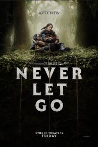 Never.Let.Go.2024.1080p.AMZN.WEBRip.DDP5.1.x265.10bit-GalaxyRG265