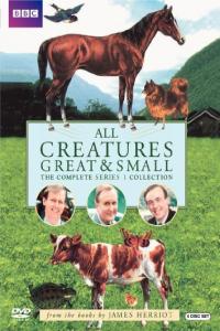 All Creatures Great and Small S01E01 Horse Sense (1280x720p HD, 50fps, soft Eng subs) 