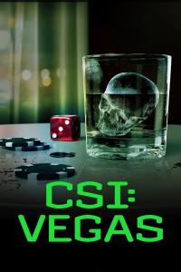 CSI.Vegas.S01E04.WEB.x264-TORRENTGALAXY