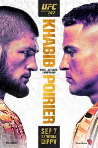 UFC.242.PPV.Khabib.vs.Porier.HDTV.x264-PUNCH[TGx]