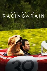 The.Art.of.Racing.in.the.Rain.2019.1080p.BluRay.x265-RARBG