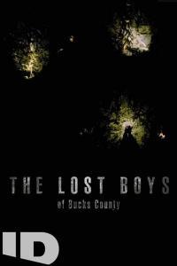 The.Lost.Boys.of.Bucks.County.2020.720p.WEBRip.800MB.x264-GalaxyRG