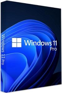 Windows 11 Pro Lite 21H2 Build 22000.593 (x64) (No TPM Required) En-US Pre-Activated [FTUApps]