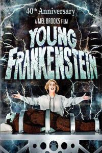Young Frankenstein 40th Anniversary - Comedy 1974 Eng Multi-Subs 1080p [H264-mp4]