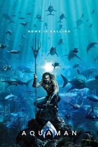 Aquaman.2018.IMAX.HDRip.XViD.AC3-ETRG